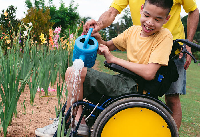 Asian boy in wheelchair, waters flowers with his dad