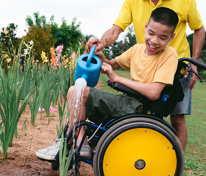 Asian boy in wheelchair, waters flowers with his dad