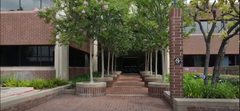 A brick walkway lined with small trees leads to the entrance of a modern building with brick and concrete features.